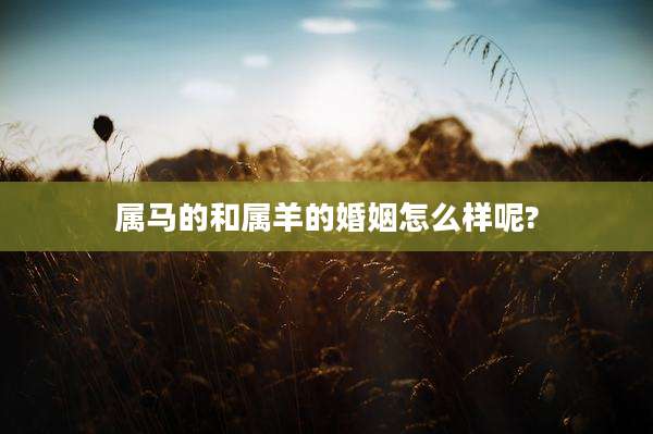 属马的和属羊的婚姻怎么样呢?