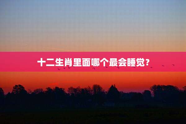 十二生肖里面哪个最会睡觉?