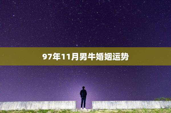 97年11月男牛婚姻运势
