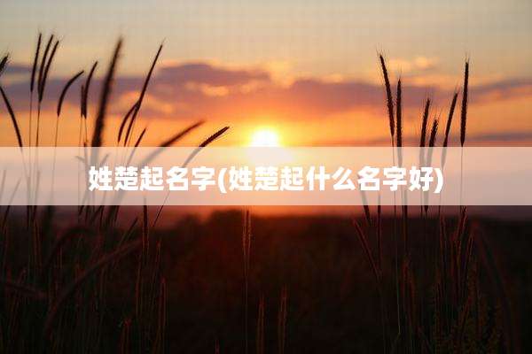 姓楚起名字(姓楚起什么名字好)