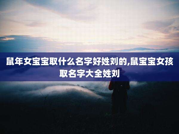 鼠年女宝宝取什么名字好姓刘的,鼠宝宝女孩取名字大全姓刘