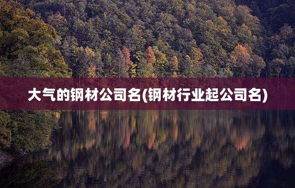 大气的钢材公司名(钢材行业起公司名)