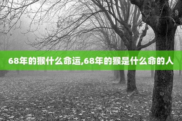 68年的猴什么命运,68年的猴是什么命的人