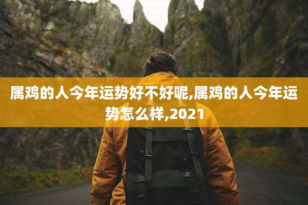 属鸡的人今年运势好不好呢,属鸡的人今年运势怎么样,2021