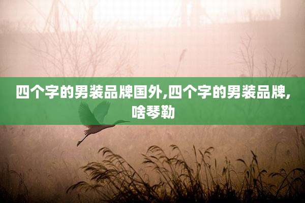 四个字的男装品牌国外,四个字的男装品牌,啥琴勒