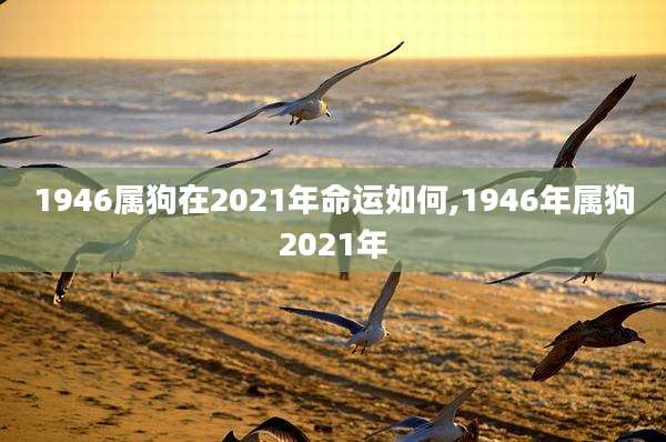 1946属狗在2021年命运如何,1946年属狗2021年