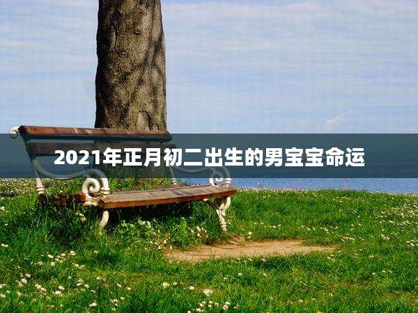 2021年正月初二出生的男宝宝命运
