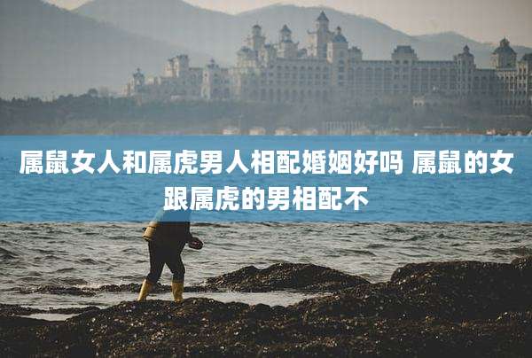 属鼠女人和属虎男人相配婚姻好吗 属鼠的女跟属虎的男相配不