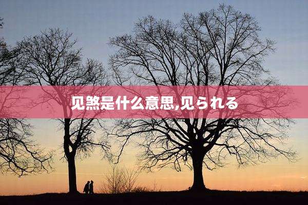 见煞是什么意思,见られる