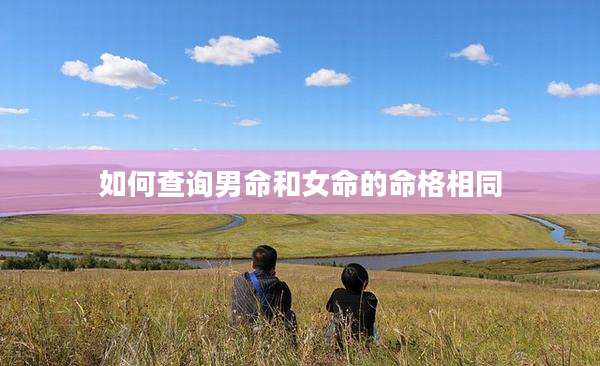 如何查询男命和女命的命格相同