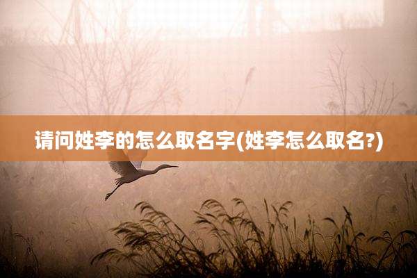 请问姓李的怎么取名字(姓李怎么取名?)
