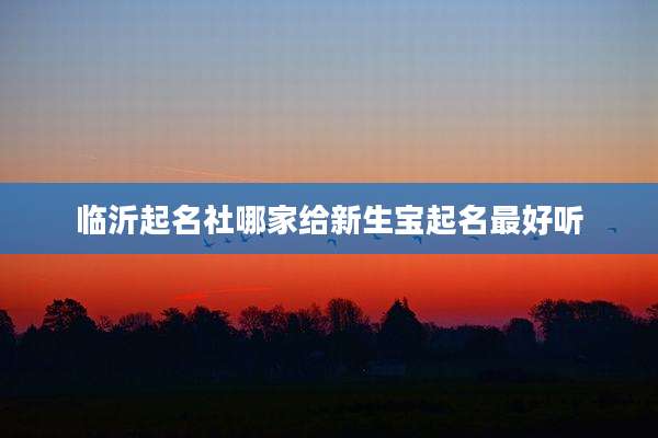 临沂起名社哪家给新生宝起名最好听