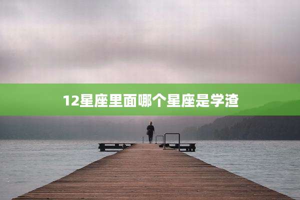 12星座里面哪个星座是学渣