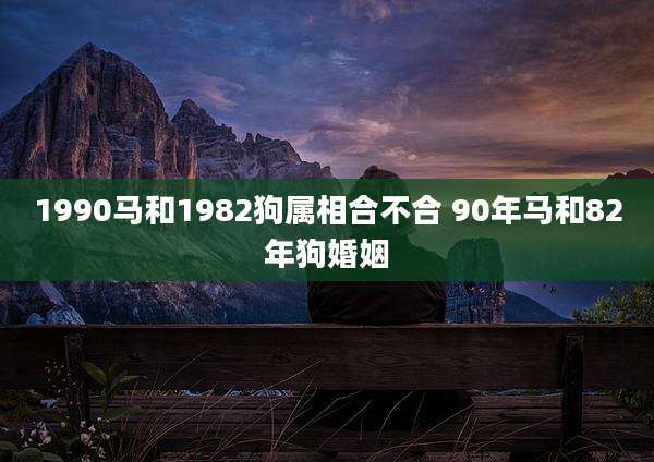 1990马和1982狗属相合不合 90年马和82年狗婚姻