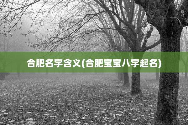 合肥名字含义(合肥宝宝八字起名)
