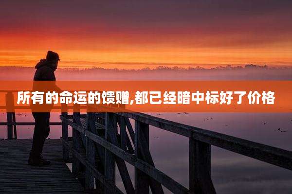 所有的命运的馈赠,都已经暗中标好了价格