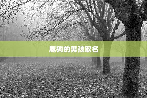 属狗的男孩取名