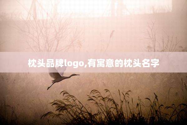 枕头品牌logo,有寓意的枕头名字
