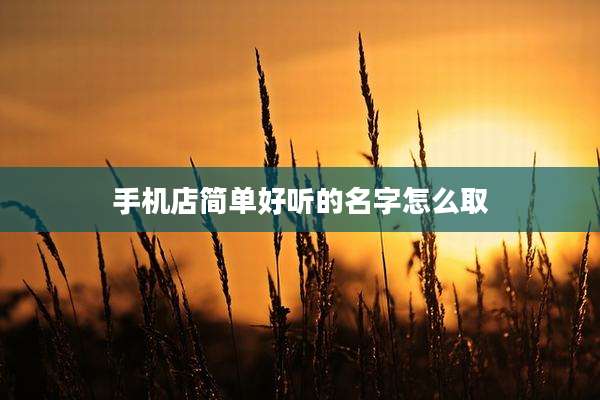 手机店简单好听的名字怎么取