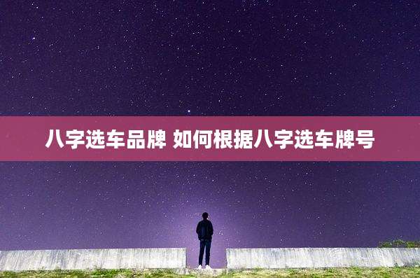 八字选车品牌 如何根据八字选车牌号