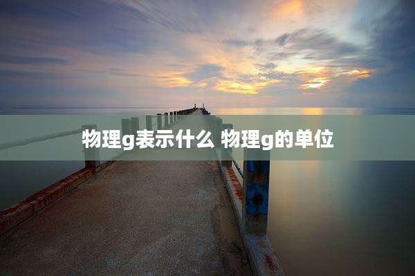 物理g表示什么 物理g的单位