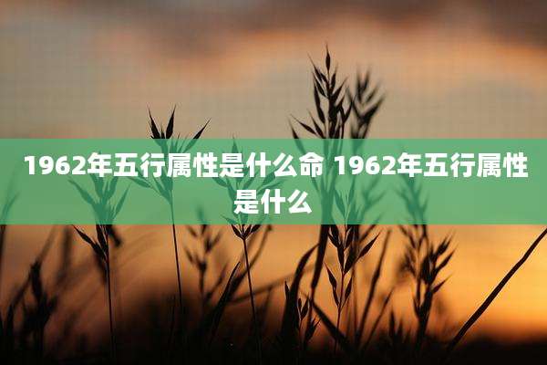 1962年五行属性是什么命 1962年五行属性是什么