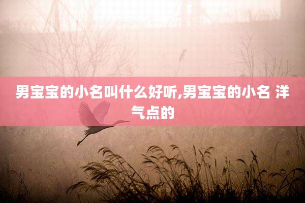 男宝宝的小名叫什么好听,男宝宝的小名 洋气点的