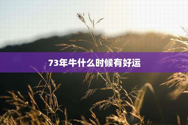 73年牛什么时候有好运