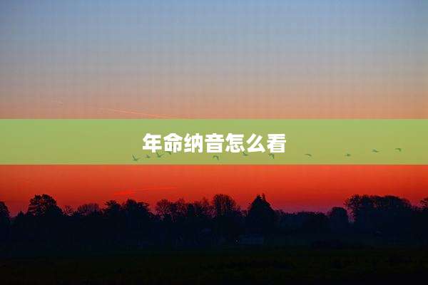年命纳音怎么看