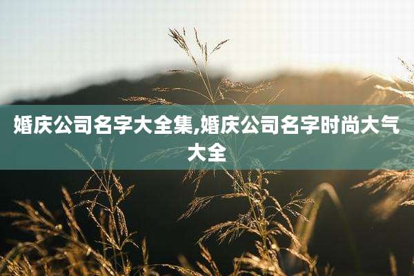 婚庆公司名字大全集,婚庆公司名字时尚大气大全