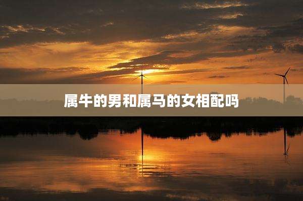 属牛的男和属马的女相配吗