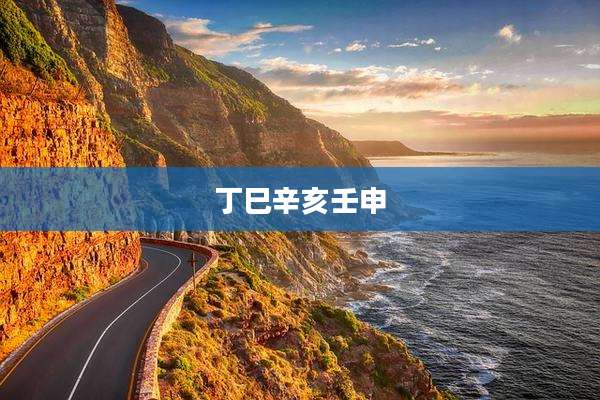 丁巳辛亥壬申
