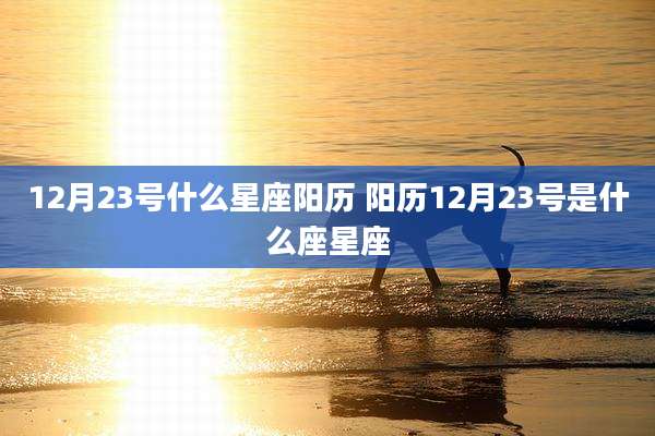 12月23号什么星座阳历 阳历12月23号是什么座星座