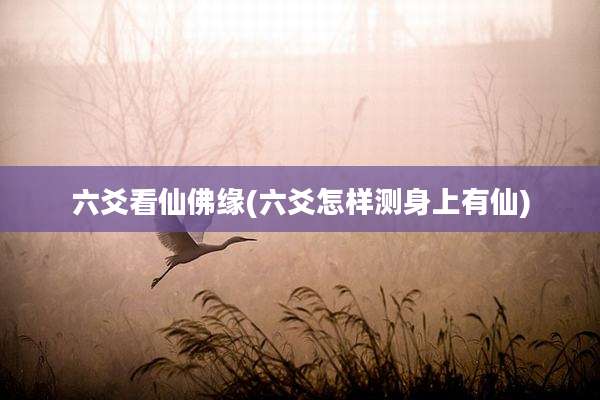 六爻看仙佛缘(六爻怎样测身上有仙)
