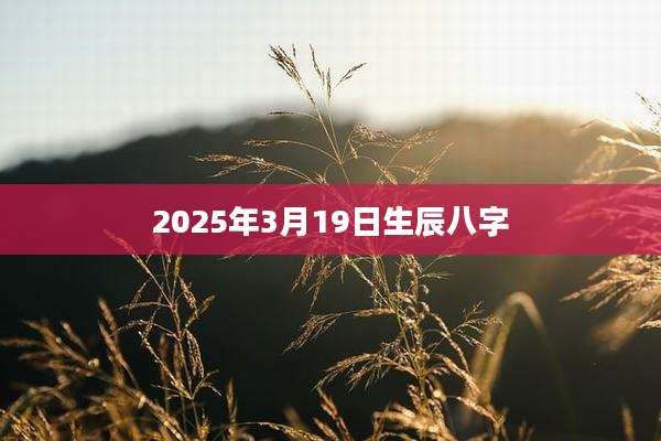 2025年3月19日生辰八字