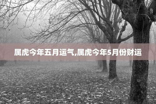 属虎今年五月运气,属虎今年5月份财运