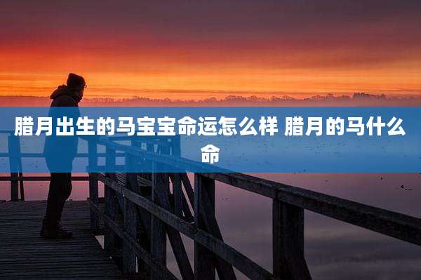 腊月出生的马宝宝命运怎么样 腊月的马什么命