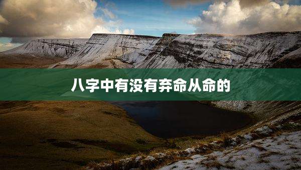 八字中有没有弃命从命的