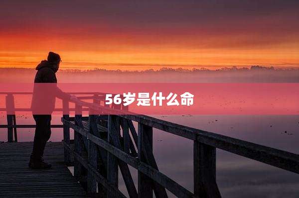 56岁是什么命