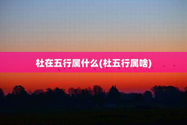 杜在五行属什么(杜五行属啥)