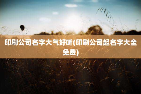 印刷公司名字大气好听(印刷公司起名字大全免费)