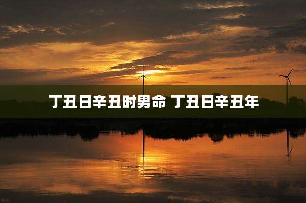 丁丑日辛丑时男命 丁丑日辛丑年