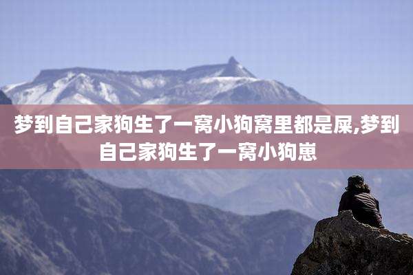 梦到自己家狗生了一窝小狗窝里都是屎,梦到自己家狗生了一窝小狗崽
