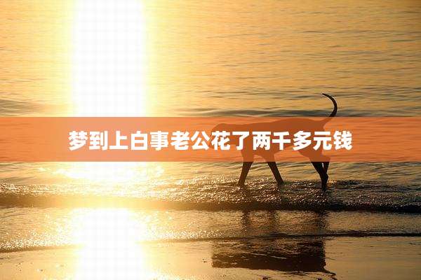 梦到上白事老公花了两千多元钱
