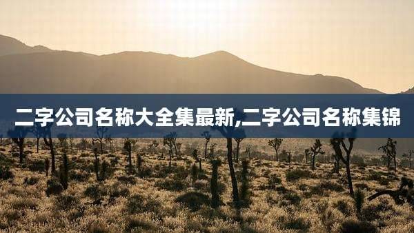 二字公司名称大全集最新,二字公司名称集锦