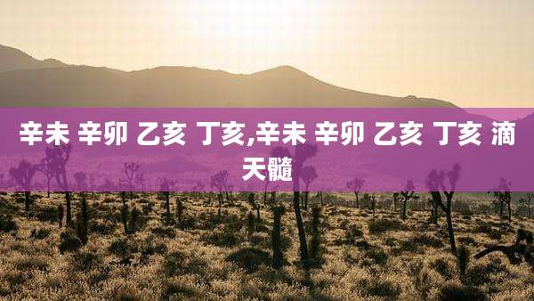 辛未 辛卯 乙亥 丁亥,辛未 辛卯 乙亥 丁亥 滴天髓