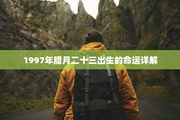 1997年腊月二十三出生的命运详解
