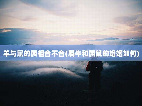 羊与鼠的属相合不合(属牛和属鼠的婚姻如何)