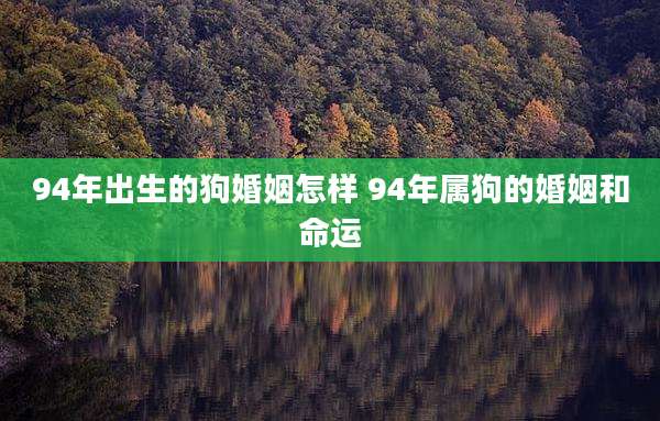 94年出生的狗婚姻怎样 94年属狗的婚姻和命运