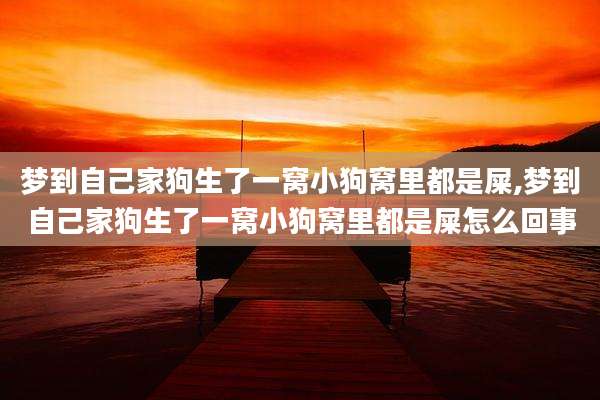 梦到自己家狗生了一窝小狗窝里都是屎,梦到自己家狗生了一窝小狗窝里都是屎怎么回事